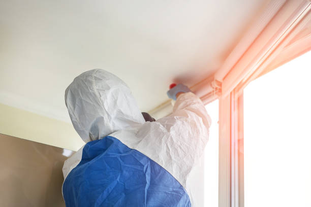 Professional Mold Removal Services in Forsyth, MO